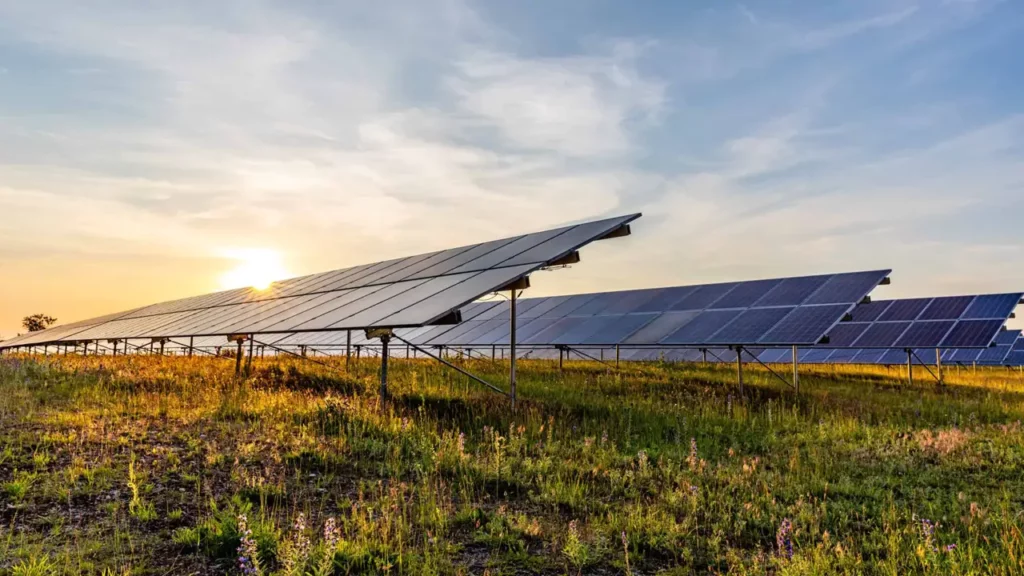 Solar-panel-farm-3 - sustainability commitment